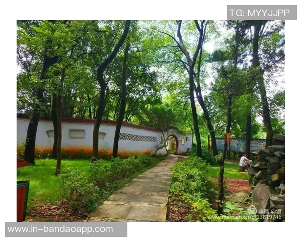 三十年如一日,李宗元师傅倾心奉献于绿色烹饪的岁月与追求