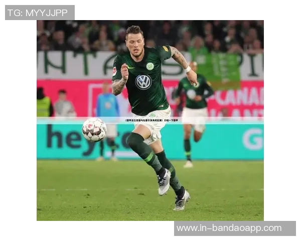 杜塞尔多夫正式签约多特蒙德年轻中锋保利纳转会费为40万欧元